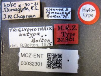 Media type: image;   Entomology 32301 Aspect: labels